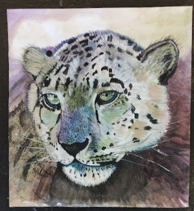 Peter, snow leopard, watercolour.